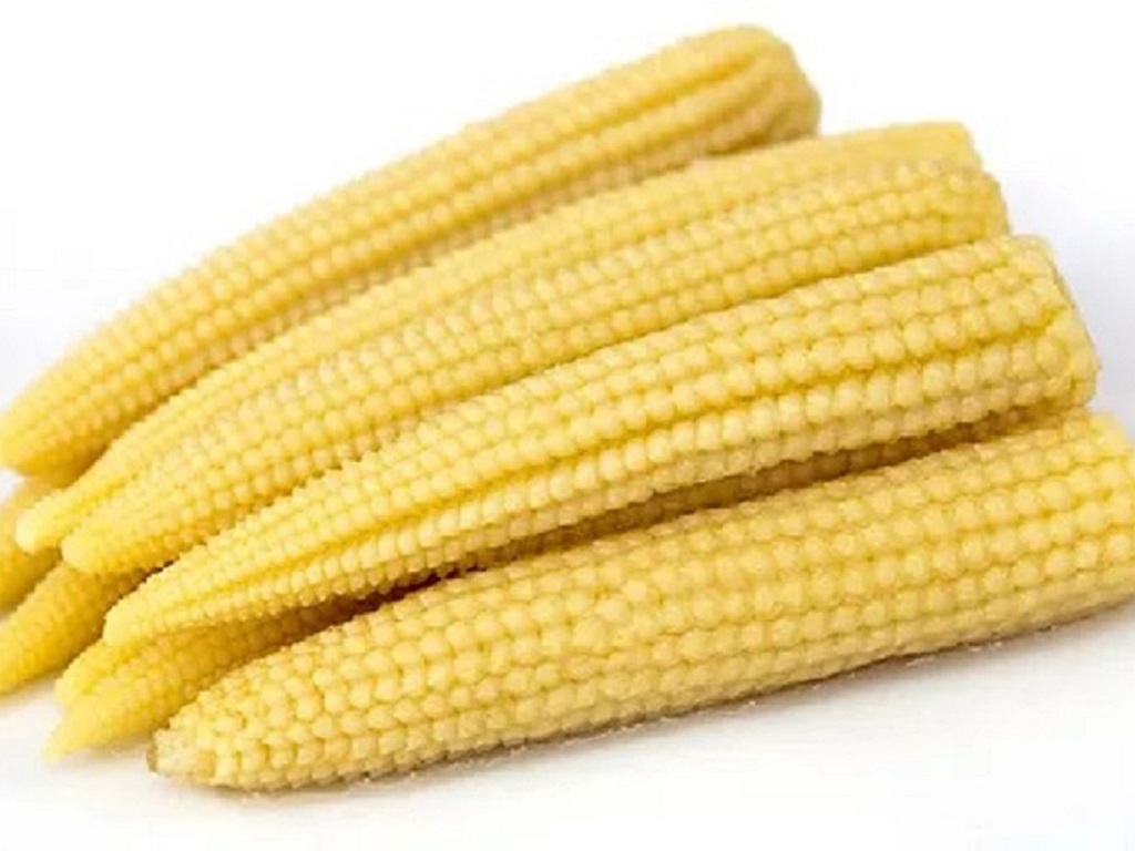 Baby corn