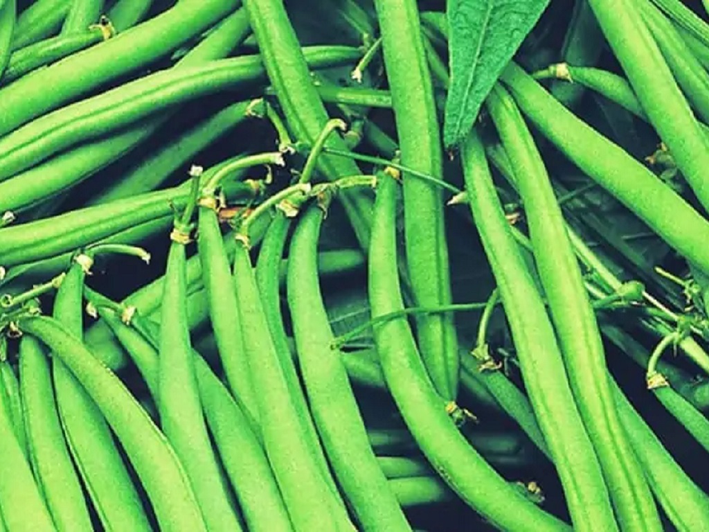 French beans